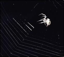 �����˿��Զ���Ӧ����Ƶ���㶫���ݽ����������μǣ���ƹ�����������...